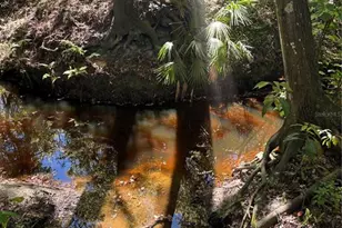 7265 Beach Rd, Elkton, FL 32033 - Photo 59