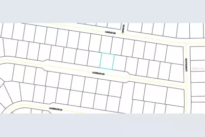 47 Louisiana Drive, Palm Coast, FL 32137 - Photo 3