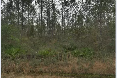 4255 Edward Street, Hastings, FL 32145 - Photo 1