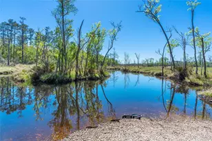 5736 Guana Park, Jacksonville, FL 32244 - Photo 3