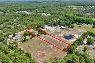 23528 Tex Wheeler Ave, Christmas, FL 32709 - Photo 53