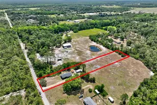 23528 Tex Wheeler Ave, Christmas, FL 32709 - Photo 55