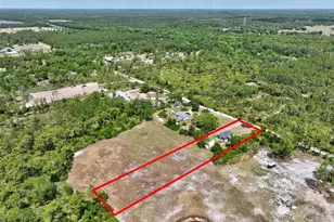 23528 Tex Wheeler Ave, Christmas, FL 32709 - Photo 51