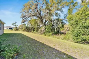 14069 Wineberry Dr, Dade City, FL 33525 - Photo 41