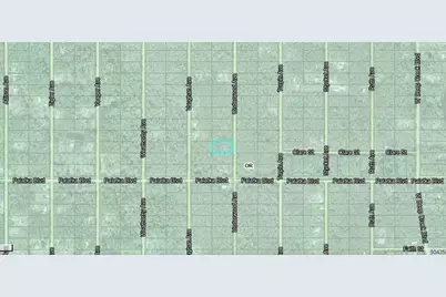 10555 Underwood Avenue, Hastings, FL 32145 - Photo 3