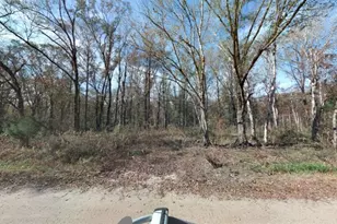 10555 Underwood Ave, Hastings, FL 32145 - Photo 1