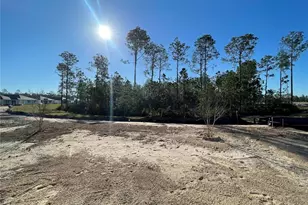 243 Montgomery Ct, Palm Coast, FL 32164 - Photo 25