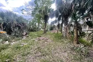 41 Comanche Ct, Palm Coast, FL 32137 - Photo 1