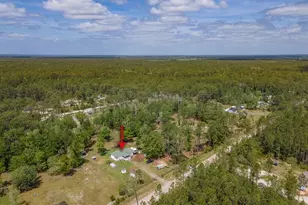 1782 Papaya St, Bunnell, FL 32110 - Photo 39