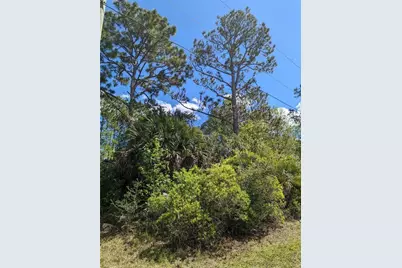 81 Pine Haven Dr, Palm Coast, FL 32164 - Photo 11