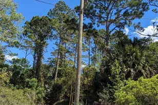 81 Pine Haven Dr, Palm Coast, FL 32164 - Photo 1