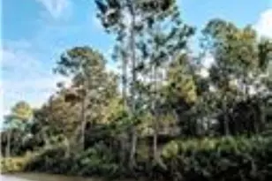 83 Pine Haven Dr, Palm Coast, FL 32164 - Photo 1