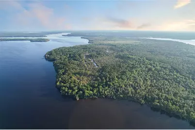 356 Drayton Island Road, Georgetown, FL 32139 - Photo 9