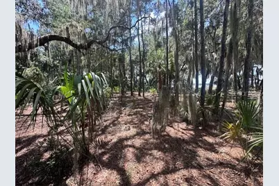 356 Drayton Island Road, Georgetown, FL 32139 - Photo 35