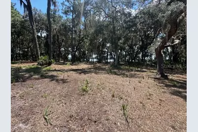 356 Drayton Island Road, Georgetown, FL 32139 - Photo 31