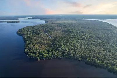 356 Drayton Island Road, Georgetown, FL 32139 - Photo 11