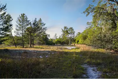 356 Drayton Island Road, Georgetown, FL 32139 - Photo 29