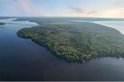 356 Drayton Island Road, Georgetown, FL 32139 - Photo 7