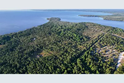 356 Drayton Island Road, Georgetown, FL 32139 - Photo 19