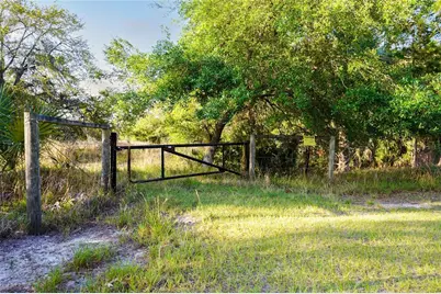356 Drayton Island Road, Georgetown, FL 32139 - Photo 25