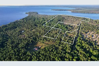 356 Drayton Island Road, Georgetown, FL 32139 - Photo 15