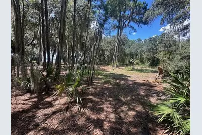 356 Drayton Island Road, Georgetown, FL 32139 - Photo 33