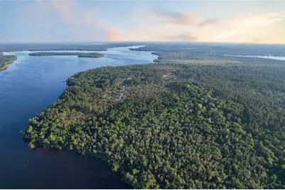 356 Drayton Island Road, Georgetown, FL 32139 - Photo 13