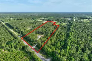 4343 W State Hwy 100, Bunnell, FL 32110 - Photo 61