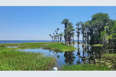 21779 NE 115th Avenue, Earleton, FL 32631 - Photo 5