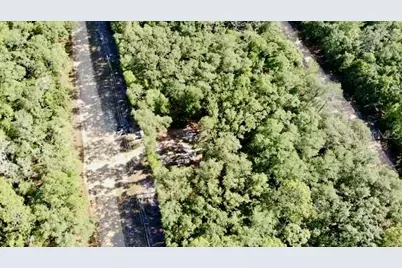 1107 Usina Avenue, Interlachen, FL 32148 - Photo 9