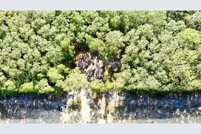 1107 Usina Avenue, Interlachen, FL 32148 - Photo 5