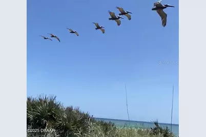 3000 Ocean Shore Boulevard #150, Ormond Beach, FL 32176 - Photo 13