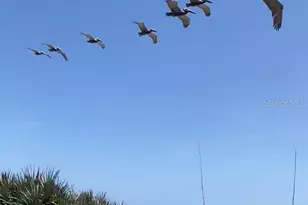 3000 Ocean Shore Blvd, Ormond Beach, FL 32176 - Photo 13