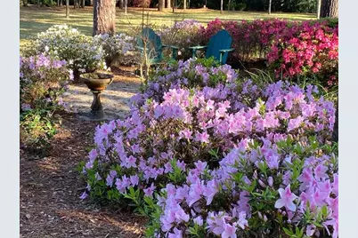 37918 N County Road 44A, Eustis, FL 32736 - Photo 25