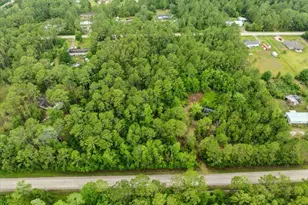 1756 Hazelnut St, Bunnell, FL 32110 - Photo 3