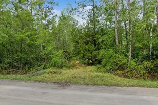 1756 Hazelnut St, Bunnell, FL 32110 - Photo 7