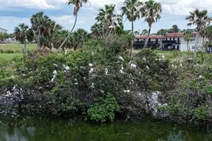 5 Ocean Palm Villa N, Flagler Beach, FL 32136 - Photo 29