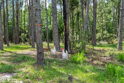 1365 Shedd Lane, Ormond Beach, FL 32174 - Photo 7