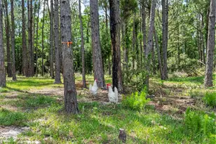 1365 Shedd Ln, Ormond Beach, FL 32174 - Photo 7