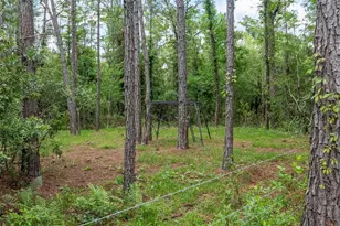 1365 Shedd Ln, Ormond Beach, FL 32174 - Photo 13