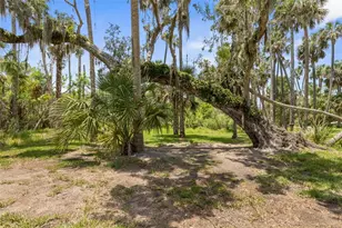 1335 Lambert Ave, Flagler Beach, FL 32136 - Photo 65