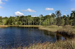 356 Waterfront Dr, St Johns, FL 32259 - Photo 89