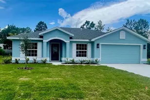 6 Pickcane Ln, Palm Coast, FL 32164 - Photo 1