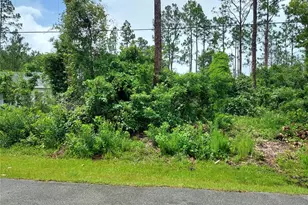 33 Renn Ln, Palm Coast, FL 32164 - Photo 1