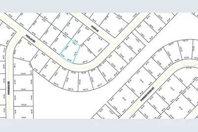 [Address not provided], Palm Coast, FL 32164 - Photo 5