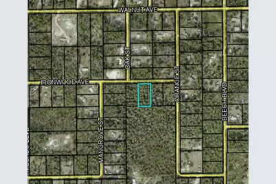 5661 Ironwood Avenue, Bunnell, FL 32110 - Photo 5