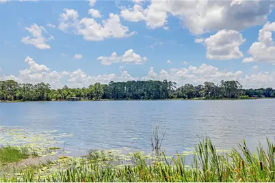 104 Carter Whittaker Lane, Pomona Park, FL 32181 - Photo 5