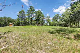 104 Carter Whittaker Ln, Pomona Park, FL 32181 - Photo 11