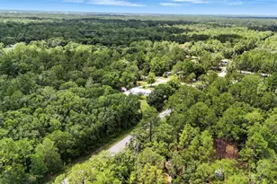 4705 Inez St, Hastings, FL 32145 - Photo 65