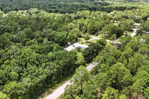 4705 Inez St, Hastings, FL 32145 - Photo 63